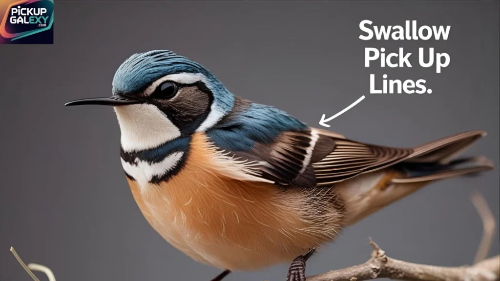 Funny Swallow Pick Up Lines To Make Them Laugh