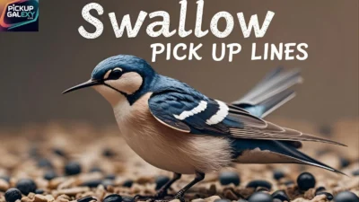 Swallow Pick Up Lines