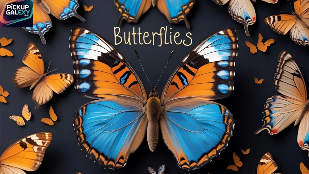 Sweet Butterfly Pick Up Lines That Show You Care