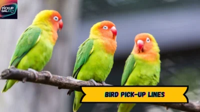 Bird Pick-Up Lines