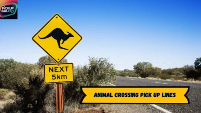 Animal Crossing Pick Up Lines