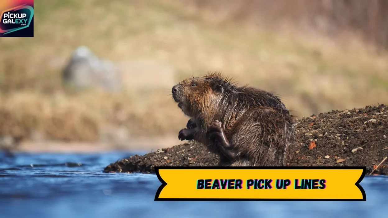 Beaver Pick Up Lines