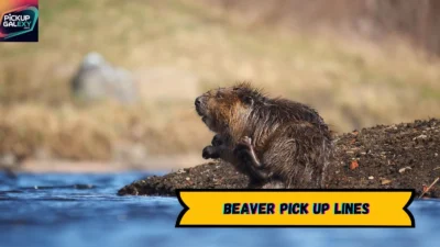 Beaver Pick Up Lines