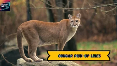 Cougar Pick-Up Lines