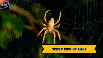 Spider Pick-Up Lines