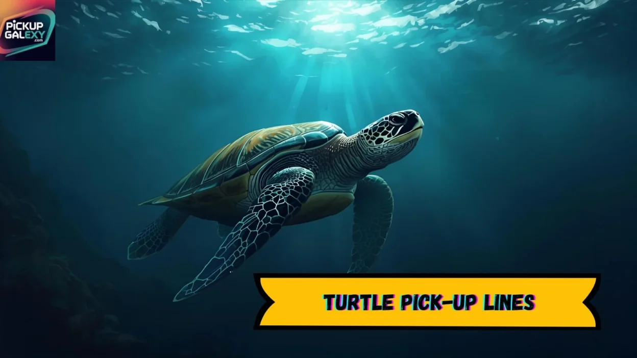 Turtle Pick-Up Lines