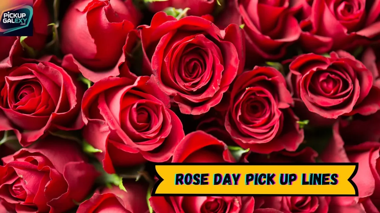 Rose Day Pick Up Lines