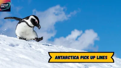Antarctica Pick Up Lines
