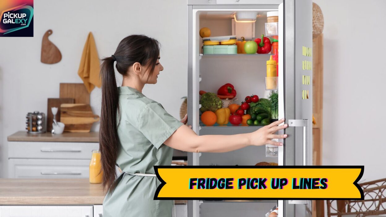 Fridge Pick Up Lines