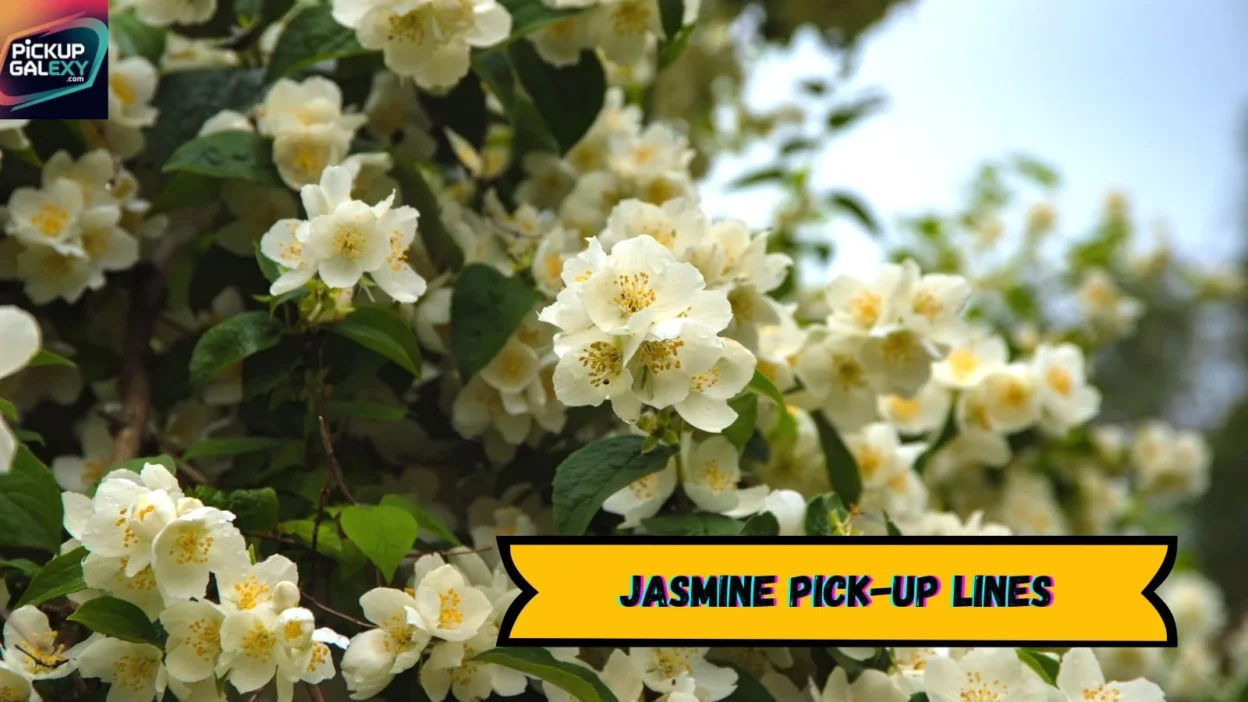 Jasmine Pick-Up Lines
