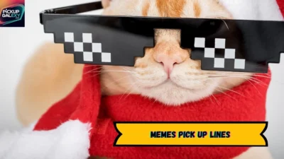 Memes Pick Up Lines