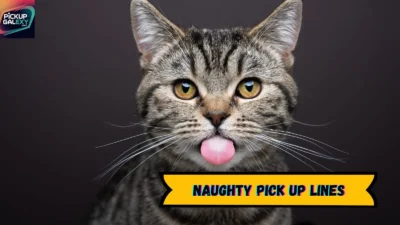 Naughty Pick Up Lines