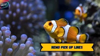 Nemo Pick Up Lines