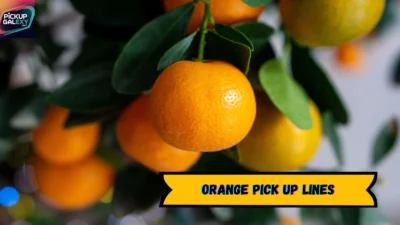 Orange Pick Up Lines