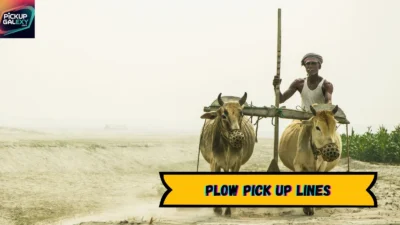 Plow Pick Up Lines