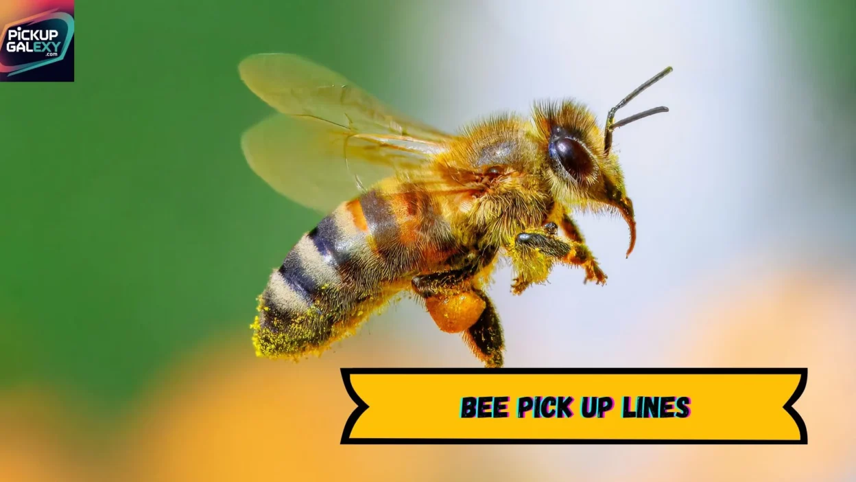Bee Pick Up Lines