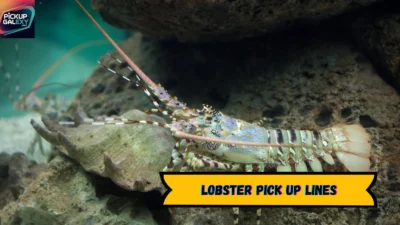 Lobster Pick Up Lines